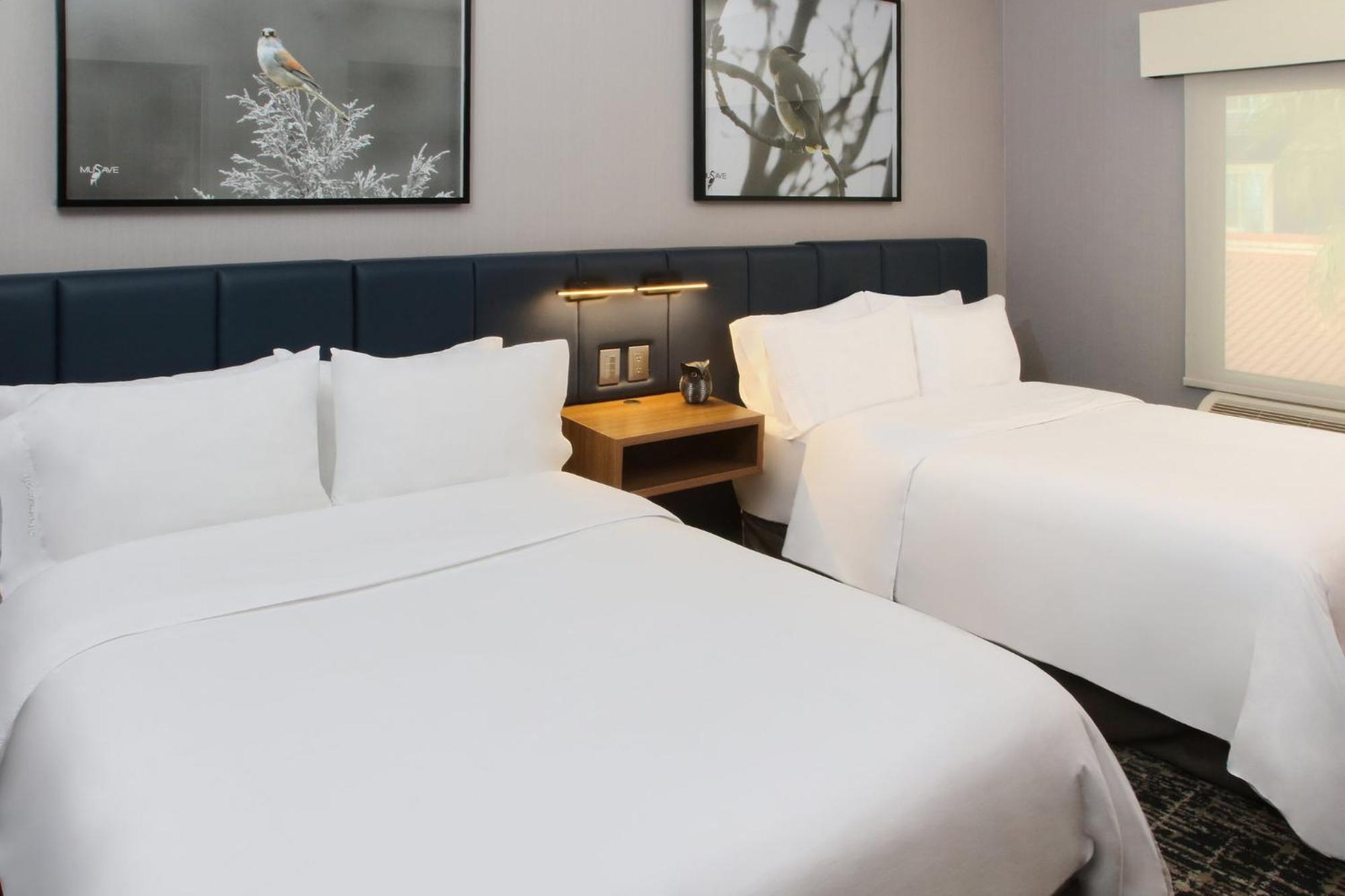 Voco Saltillo Suites By Ihg Exterior photo